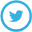 twitter icon