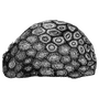 erickengelhardt profile