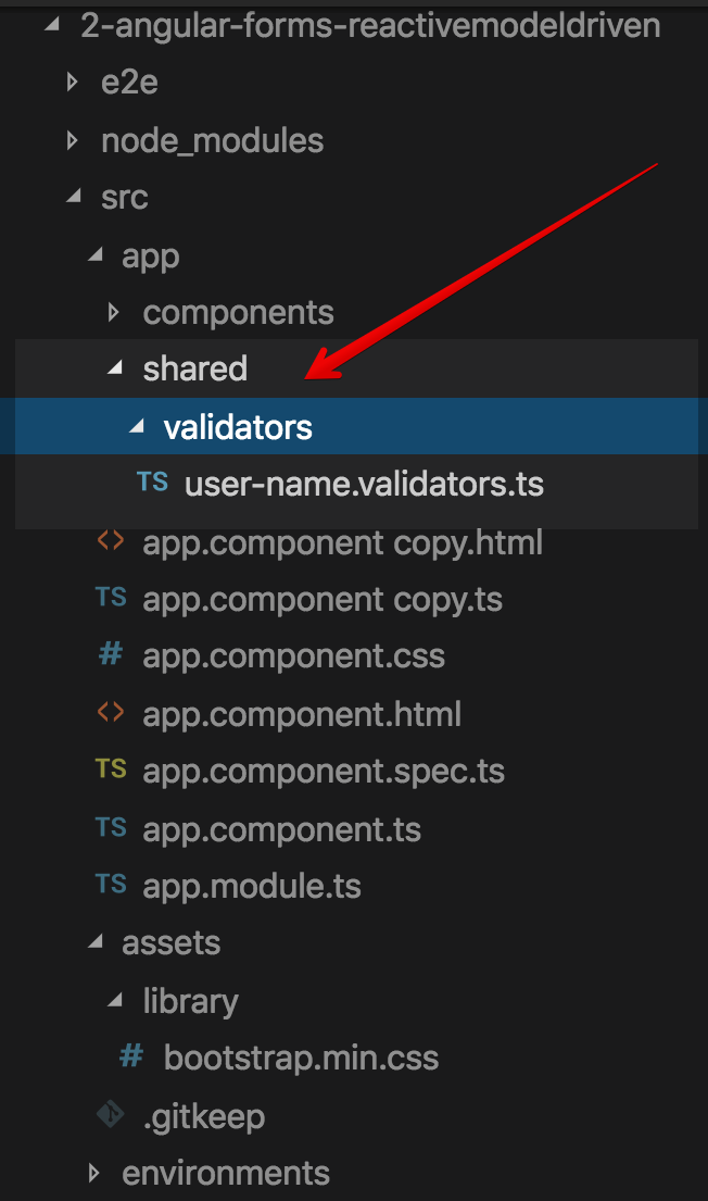 Reactive Form - custom validators