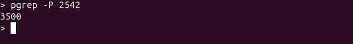 pgrep Command in Linux10