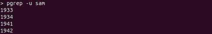 pgrep Command in Linux3